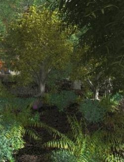 EVERYPlant SE Asian Jungle Biome for Daz